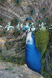 开一个蛋糕店需要多少钱