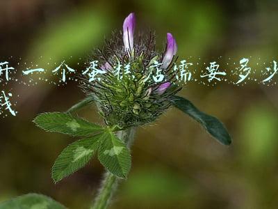 开一个蛋糕店的成本是多少_开一个蛋糕店的成本