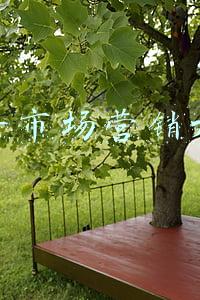 抖音市场营销大师