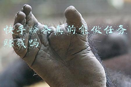 快手粉条真的能做任务赚钱吗