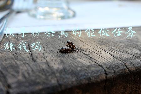 快手粉条真的能做任务赚钱吗
