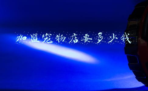 加盟宠物店赚钱吗 宠物店加盟怎么样