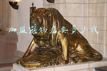 宠物店寄养一天多少钱;把猫放宠物店寄养一天多少钱
