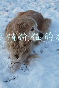 微短片营销核心价值(新媒体语境下短视频营销变现策略研究)