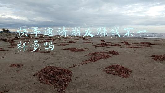 快手牧童女朋友(一哥秀恩爱，牧童女友JK清纯，不求人娇妻暖心！王小歪气场完胜)