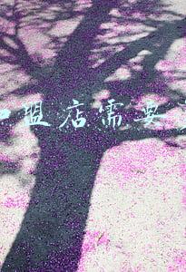 火锅加盟费大概多少；滋奇火锅加盟费大概多少