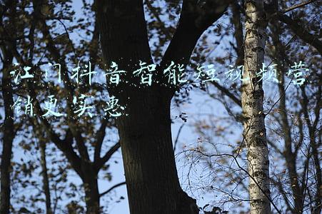 江门营销能力提升(兴业银行江门分行开展2021年“金融知识普及月”宣传活动)