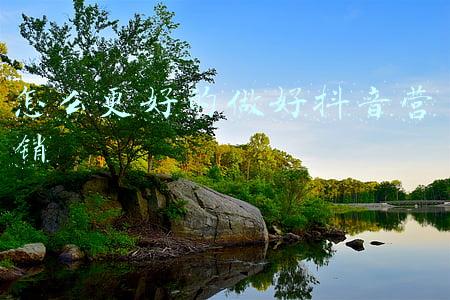 怎么更好的做好抖音营销