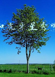快手和虎牙星秀哪个赚钱