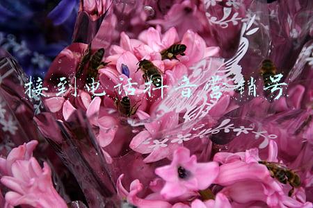 接到电话抖音营销号