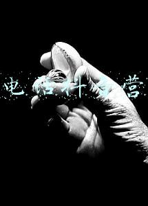 接到诈骗电话怎么处理(接到诈骗电话你会怎么做？我是这样做的…)