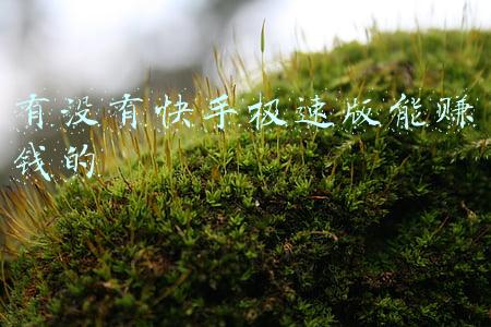 快手有没有mcn(快手推出MCN分级标准，开放对公结算，新一波红利来了？)