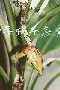 2019年快手怎么赚钱