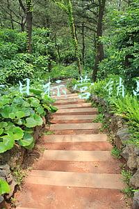 抖音目标营销战略