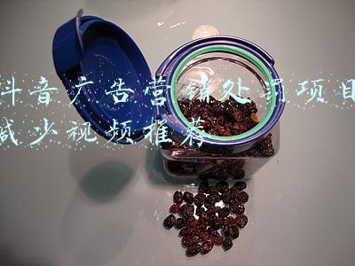 广告项目进度表(市场企划部-2019年品牌营销升级重要工作计划进度表)