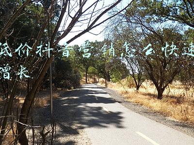 低价营销策略(创业者要学得如何摆脱低价竞争销售法则)