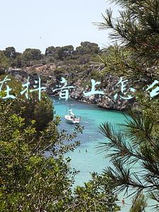 微赢客营销手机(必买：四款骁龙888 Plus推荐 最低3699即可入手)