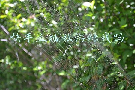 快手直播绿幕怎么设置(抖品牌自播启动指南)