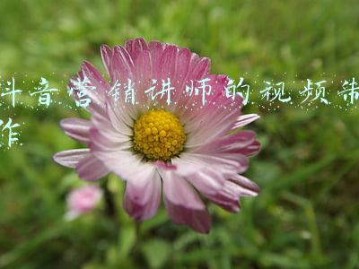 互联网营销讲师(重庆首期“互联网营销师”师资培训学员 有机会进入腾讯师资库)