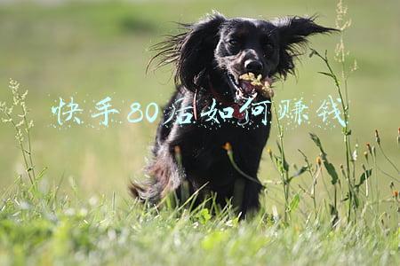 80后经典歌曲典藏(收藏！100首70后/80后经典歌曲典藏，你我单曲循环过的熟悉旋律)