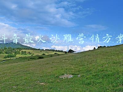 吐槽沙雕营销号(营销号的沙雕小妙招，是当代生活的行为艺术指南)
