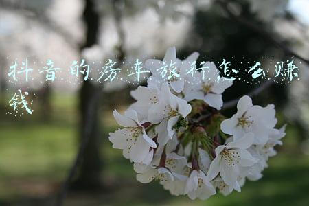 抖音的房车旅行怎么赚钱