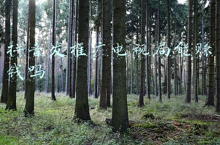 抖音发推广电视局能赚钱吗