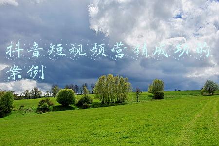 抖音短视频营销成功的案例