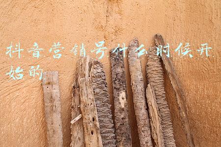 视频号什么时候上线(上线十个月，终于看懂直播对微信视频号的意义)