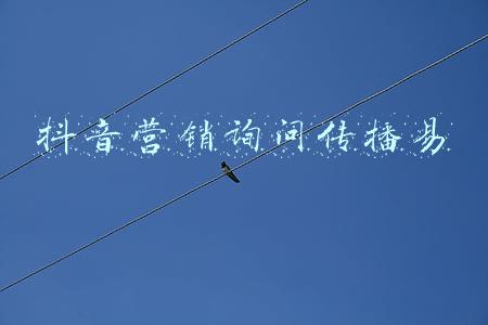 体系认证询问机构(做体系认证，企业与机构都是怎么想的？)