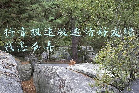 抖音极速版邀请好友赚钱怎么弄