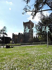 一起来养猪能赚钱吗(关于一起来养猪APP是否能赚钱这个问题，今天我来解答解答)