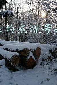 情感抖音号适合卖什么(313个情感主播永久封禁！“卖惨带货、演戏炒作”处罚公告第二期)