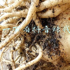 问一下看抖音赚钱10