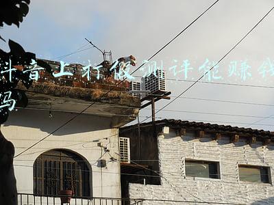 抖音上打假测评能赚钱吗