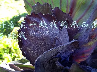 抖音卖一块钱的东西怎么赚钱