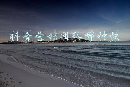 营销团队能力有哪些(团队致胜——高绩效销售团队建设与管理 内训推荐)