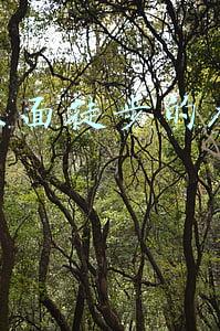 中国徒步第一人雷殿生(雷殿生：成为自唐朝以来首次走出罗布泊的人，后把经历出书获大卖)