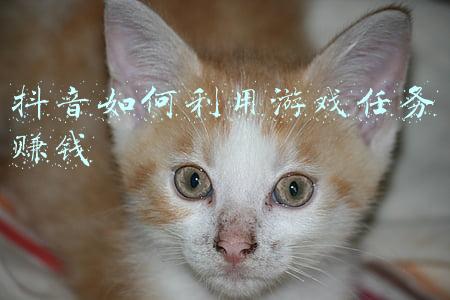 做游戏任务赚钱的平台(「巴兔游戏」国内领先的手游福利平台)