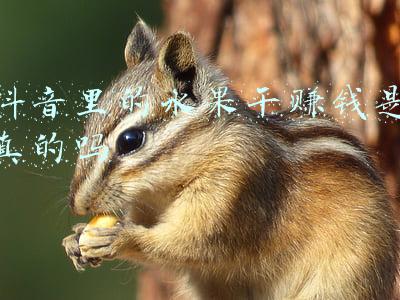 抖音里的水果干赚钱是真的吗