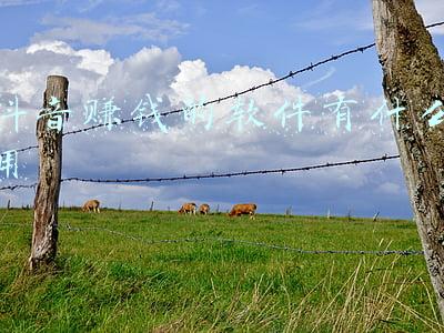 抖音挂机赚钱软件(分享一个抖音自动赚钱项目)