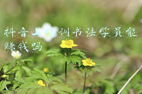 书法培训班学员须知(小细节大文明 | 学习书法礼仪篇)