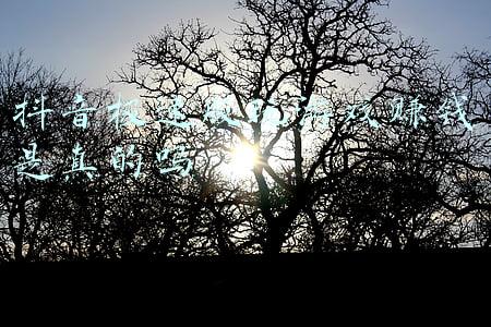 挂机赚钱游戏电脑版(如今挂机就能赚钱的老网游，赚钱哪有这么容易，亲身测试利与弊)