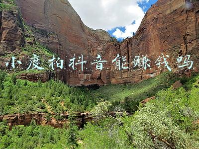 拍度电子狗升级工具(她的儿子已经12岁了？)