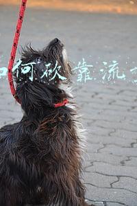 流量点(自然流量的5个隐藏开关)