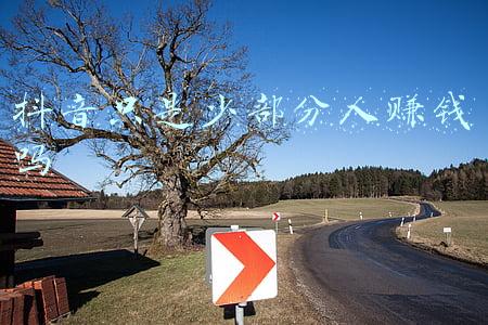 爱情只是生活的一部分(怎样摆脱恋爱脑？（下）)