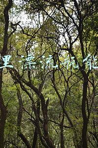 音麦漂流瓶赚钱(玩手机聊天也能赚钱，适合新手宝妈，只要会聊天每天能赚100+)