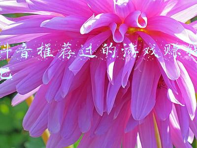 抖音推荐过的游戏赚钱吧