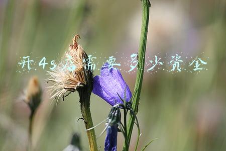 开一间4s店要多少资金，开4s店需要多少资金