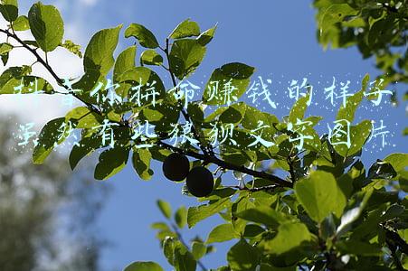 你拼命赚钱的样子虽然有些狼狈图片带字(拼命赚钱的样子，虽然有些狼狈，但靠自己的样子，真的很美，早安)